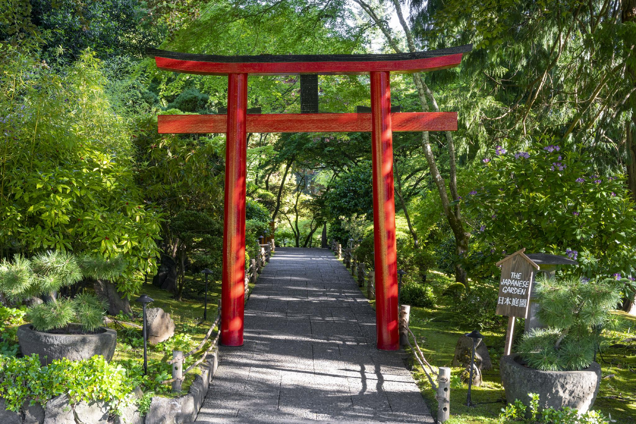 Jardin japonais