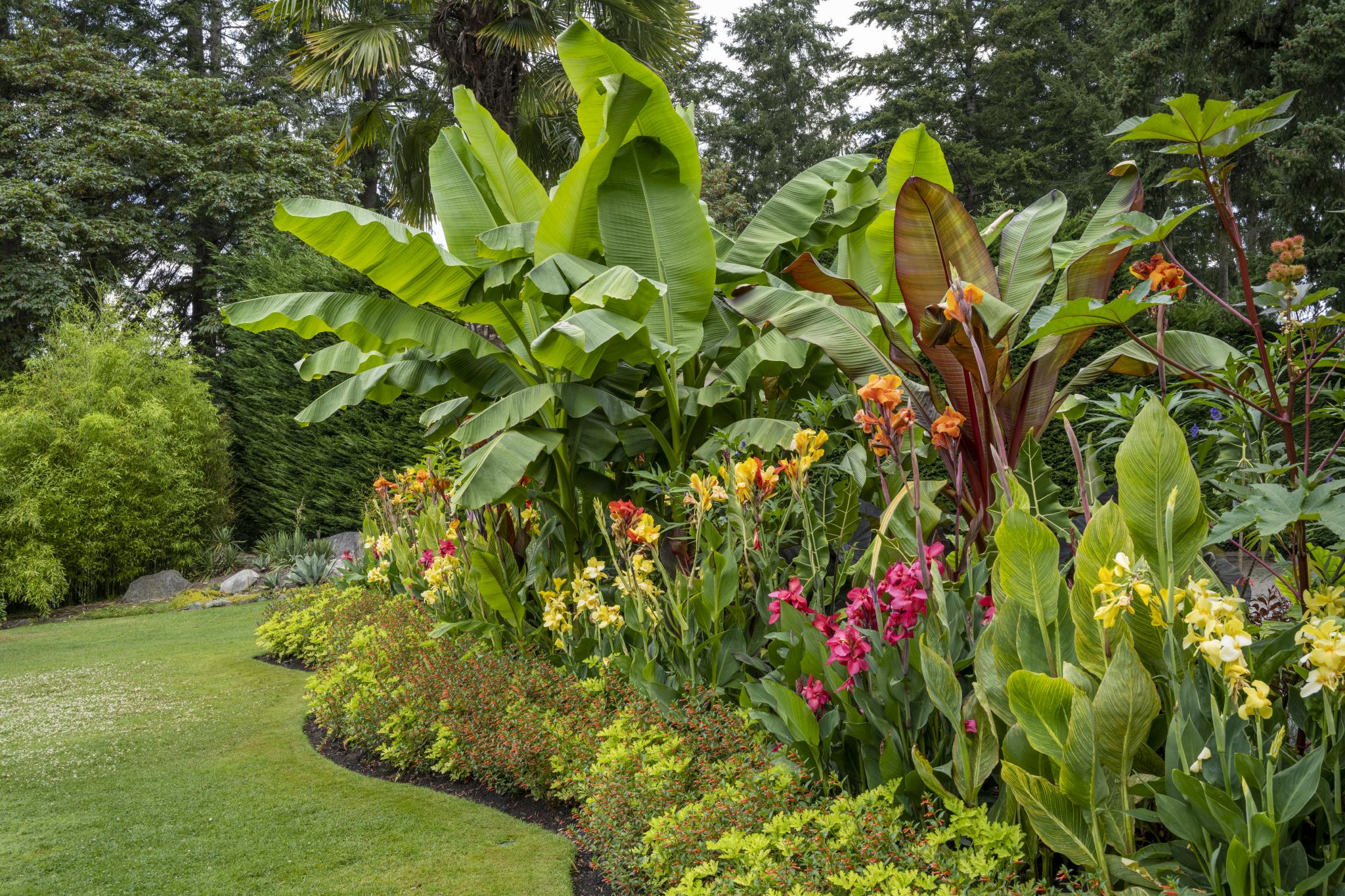 Galerie d'images du jardin méditerranéen