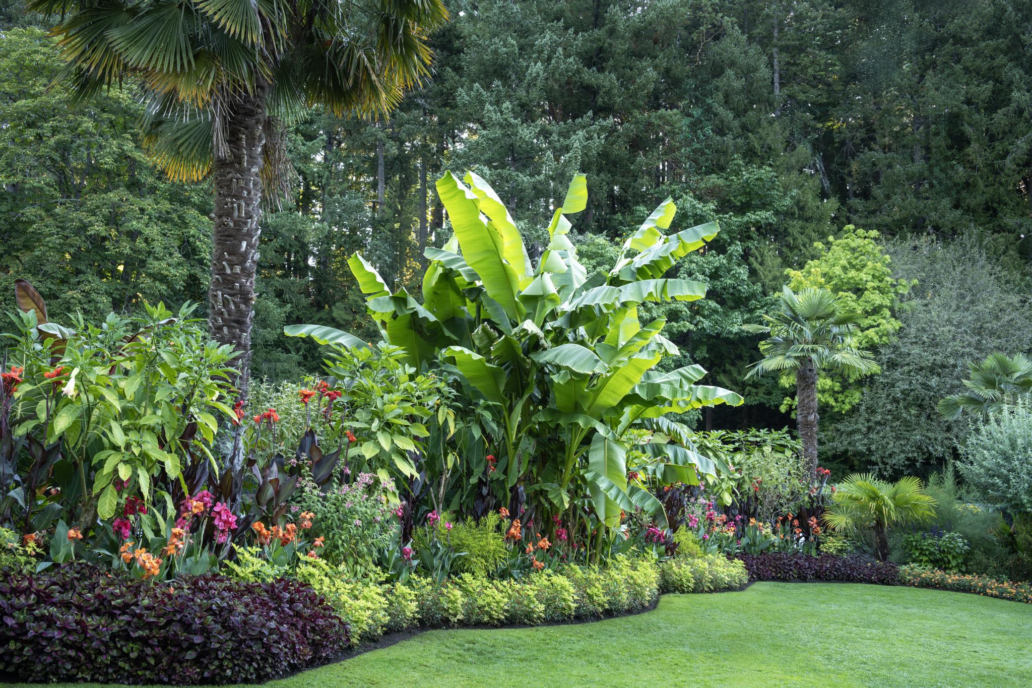 Galerie d'images du jardin méditerranéen