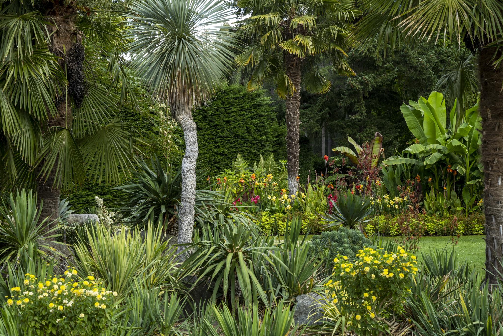 Jardin méditerranéen