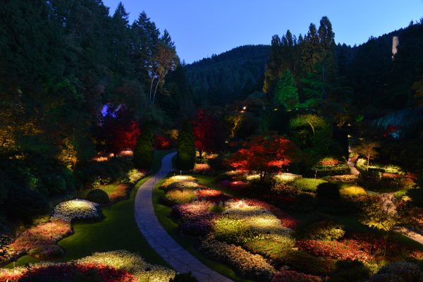 Night Illuminations