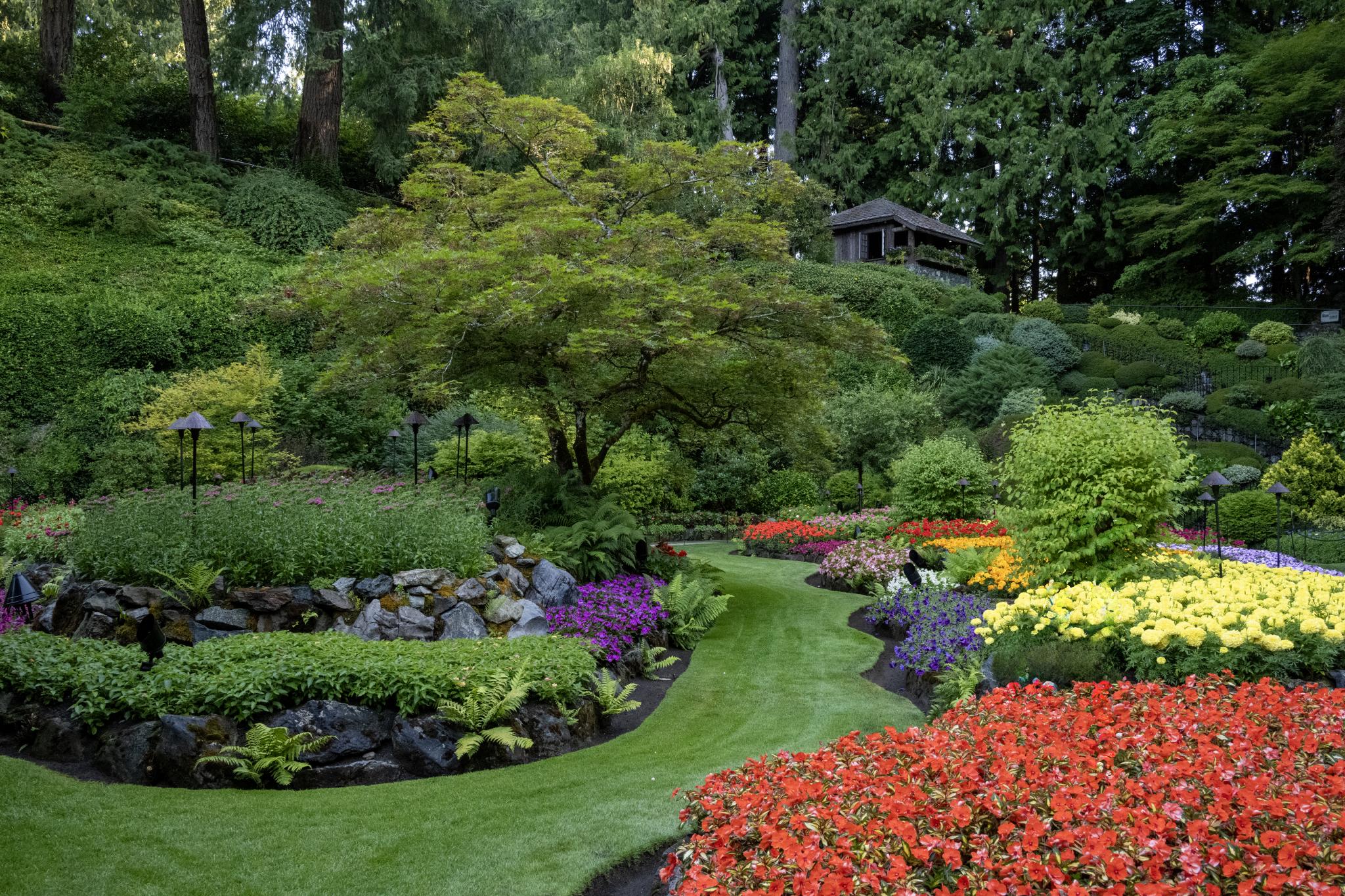 Galerie d'images du jardin en contrebas