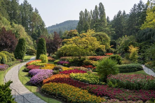 Sunken Garden