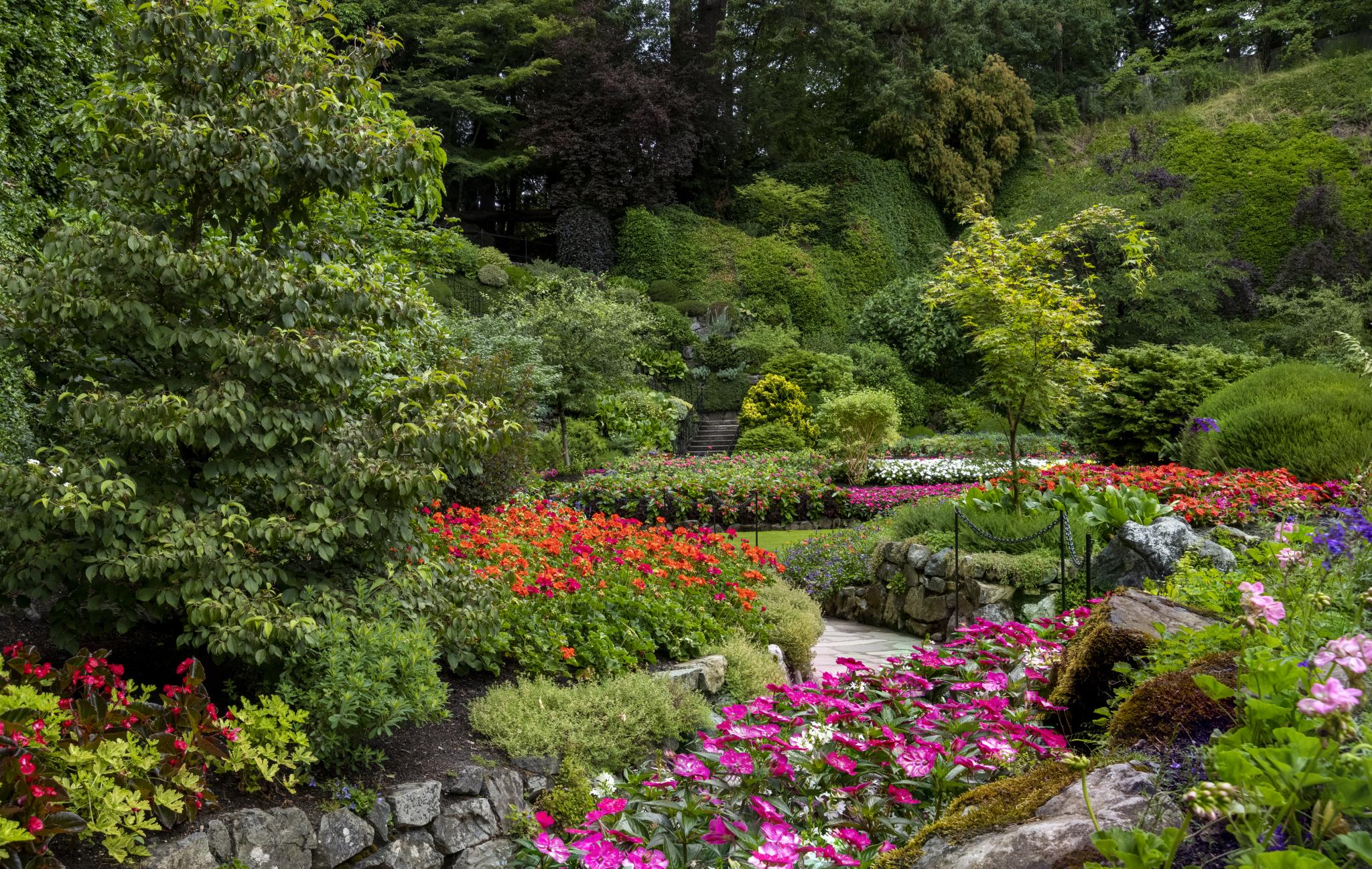 Raised garden beds filled with summer blooms at the bottom of the steps to the Sunken Garden.