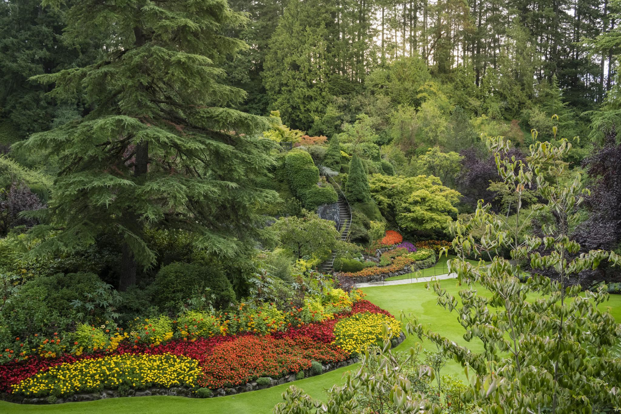 Sunken garden gallery image