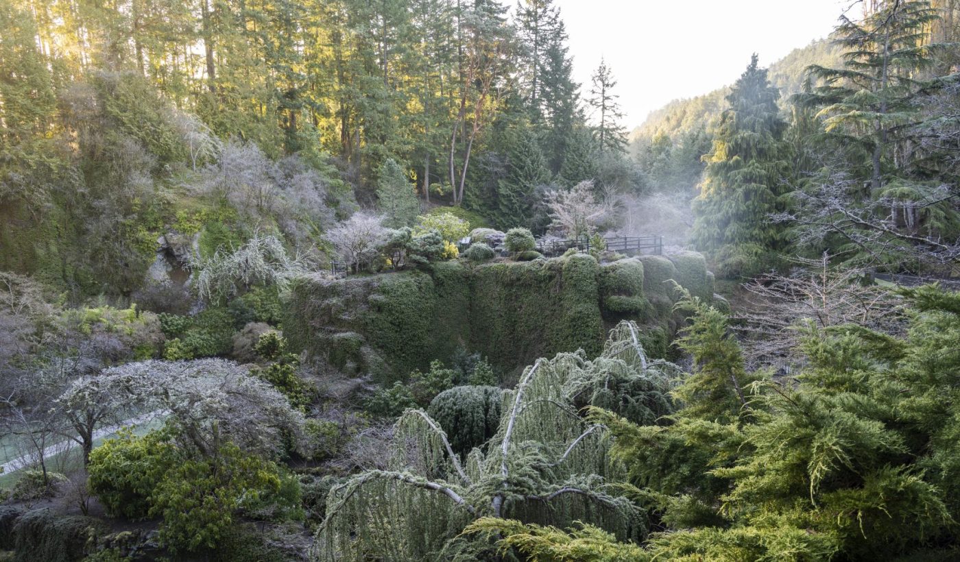 Annual Winter Gardens Closure