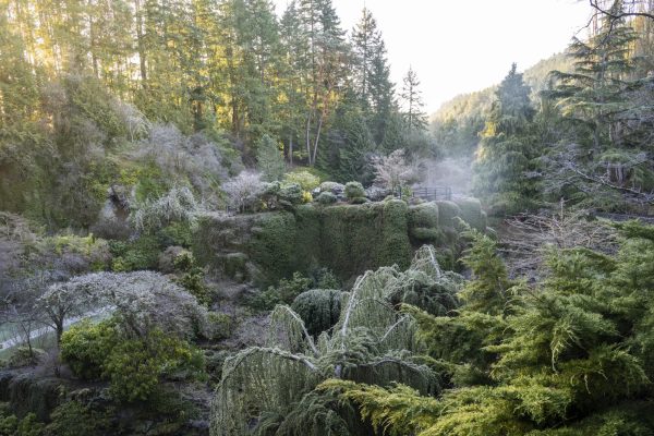 Annual Winter Gardens Closure