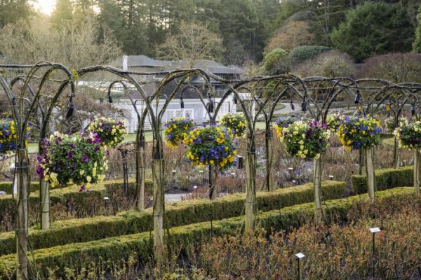 What’s in Bloom? March Garden Report 2023