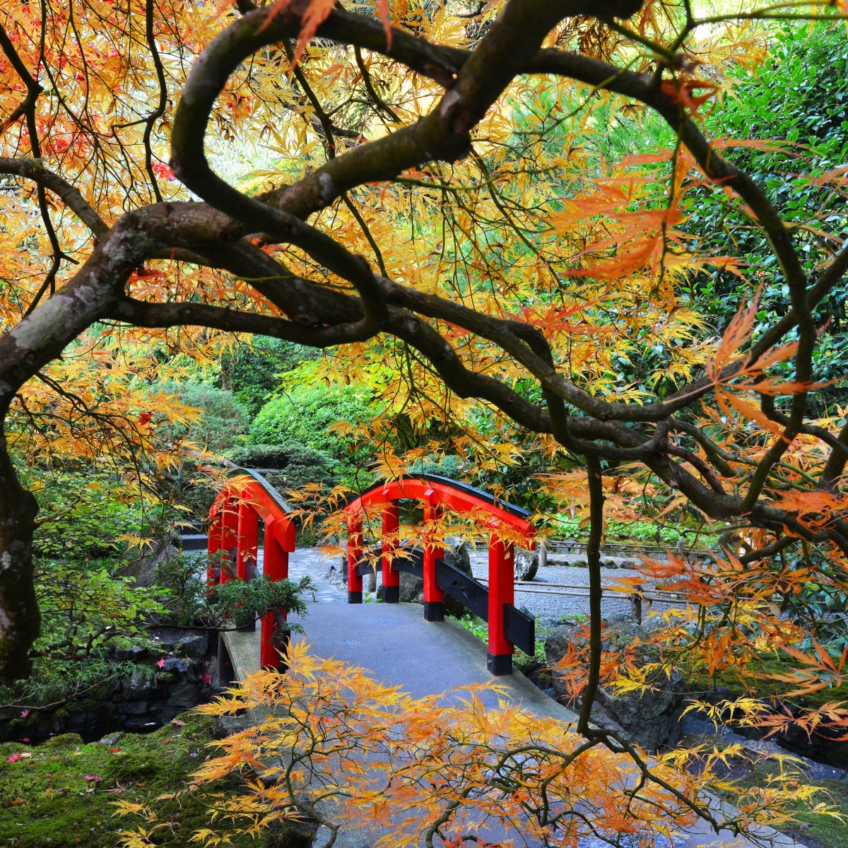 Go to Autumn