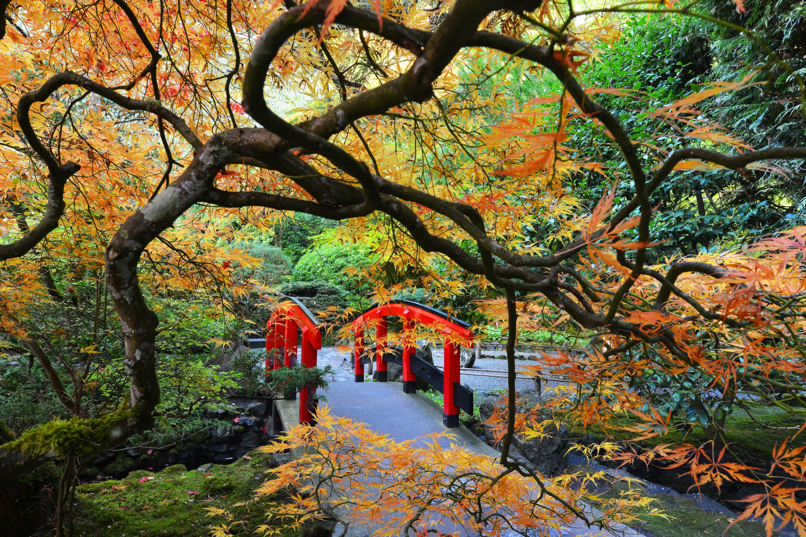 Galerie d'images de l'automne