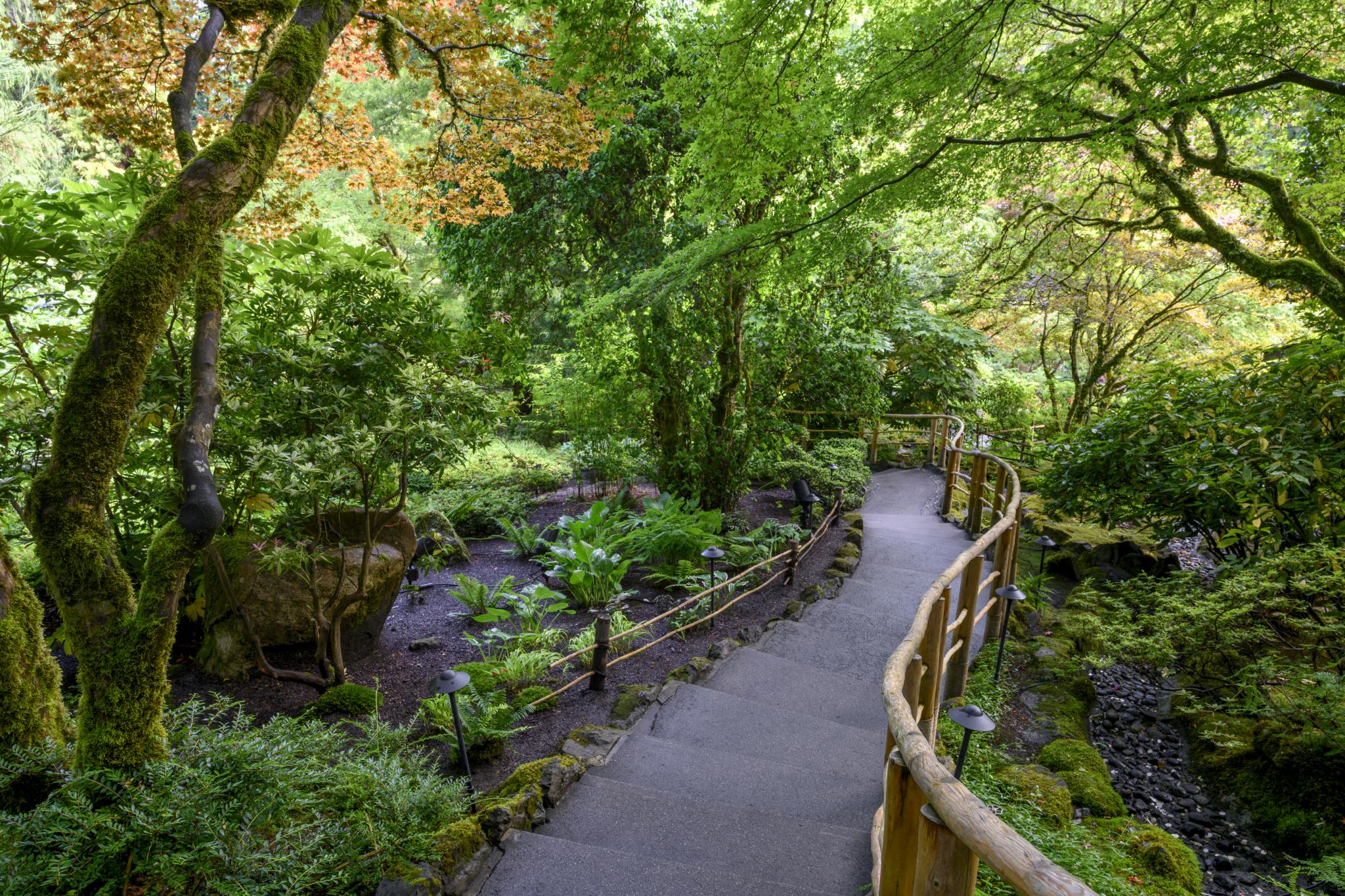 Japanese garden gallery image