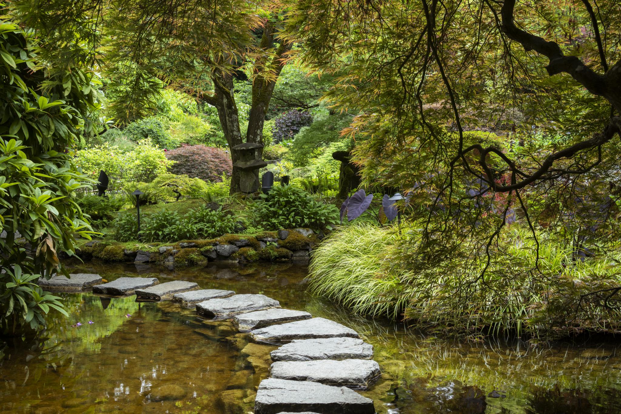 Japanese garden gallery image