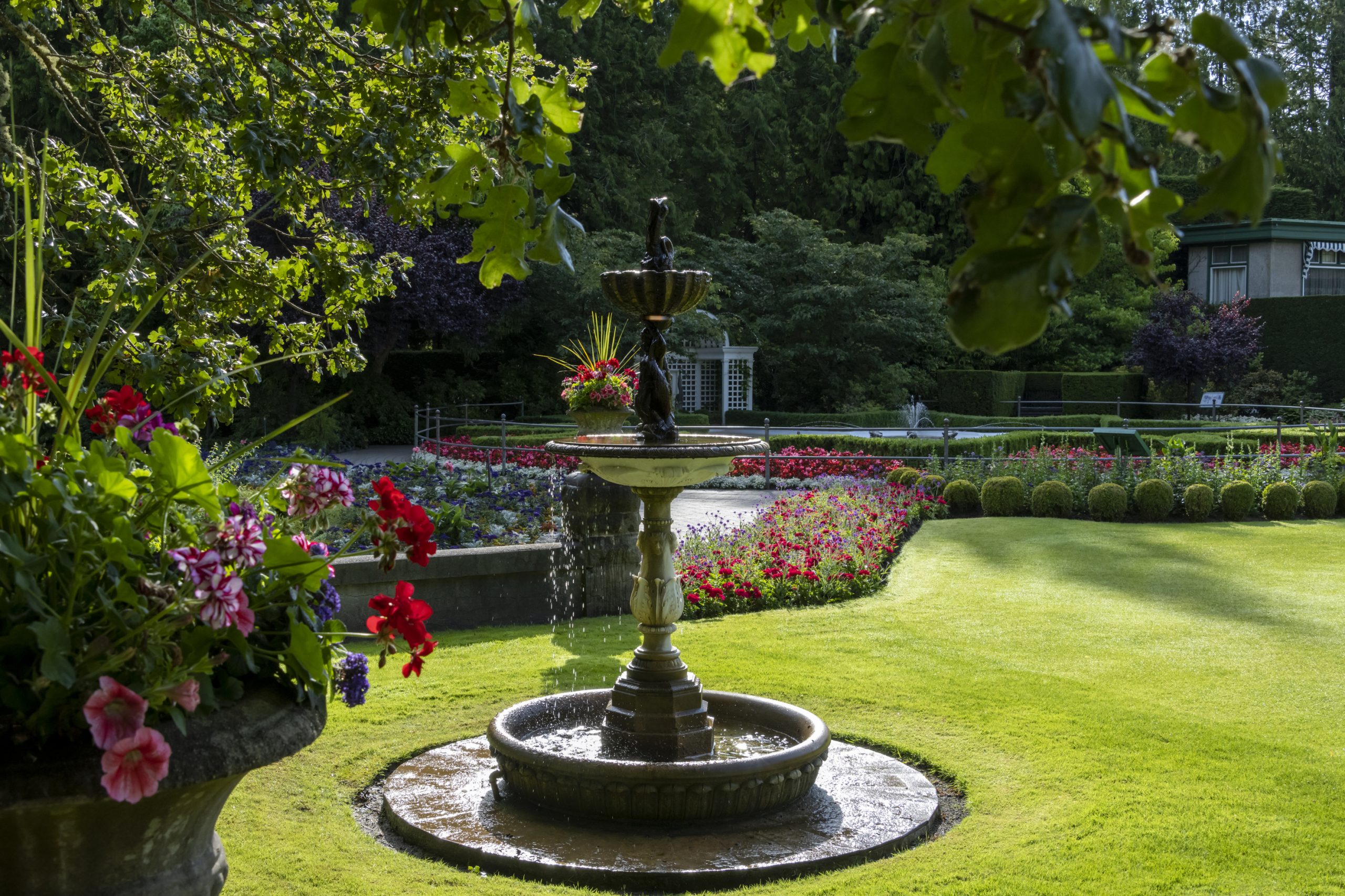 Galerie d'images de l'été