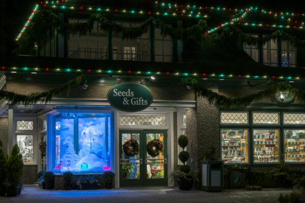 Seed & Gift Store: Holiday Shopping Inspiration