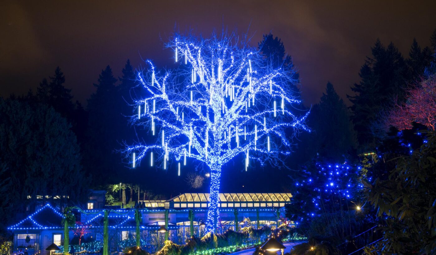 The Magic of Christmas at The Butchart Gardens