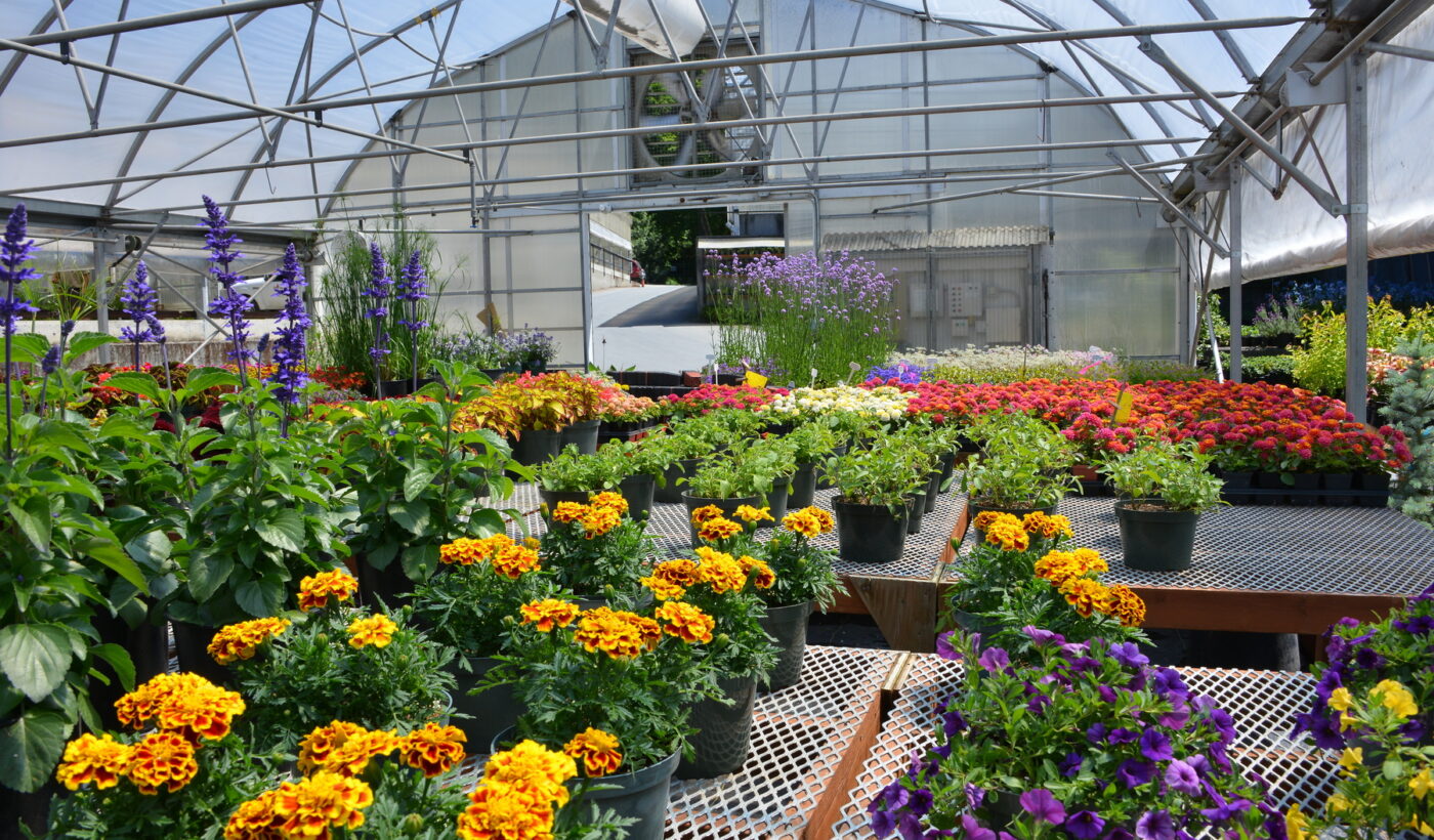 Greenhouse Tours