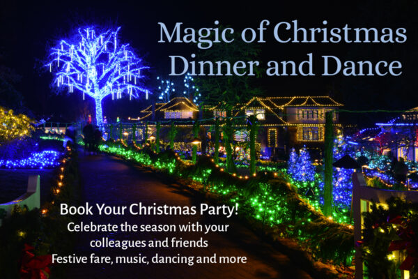 Magic of Christmas Dinner and Dance