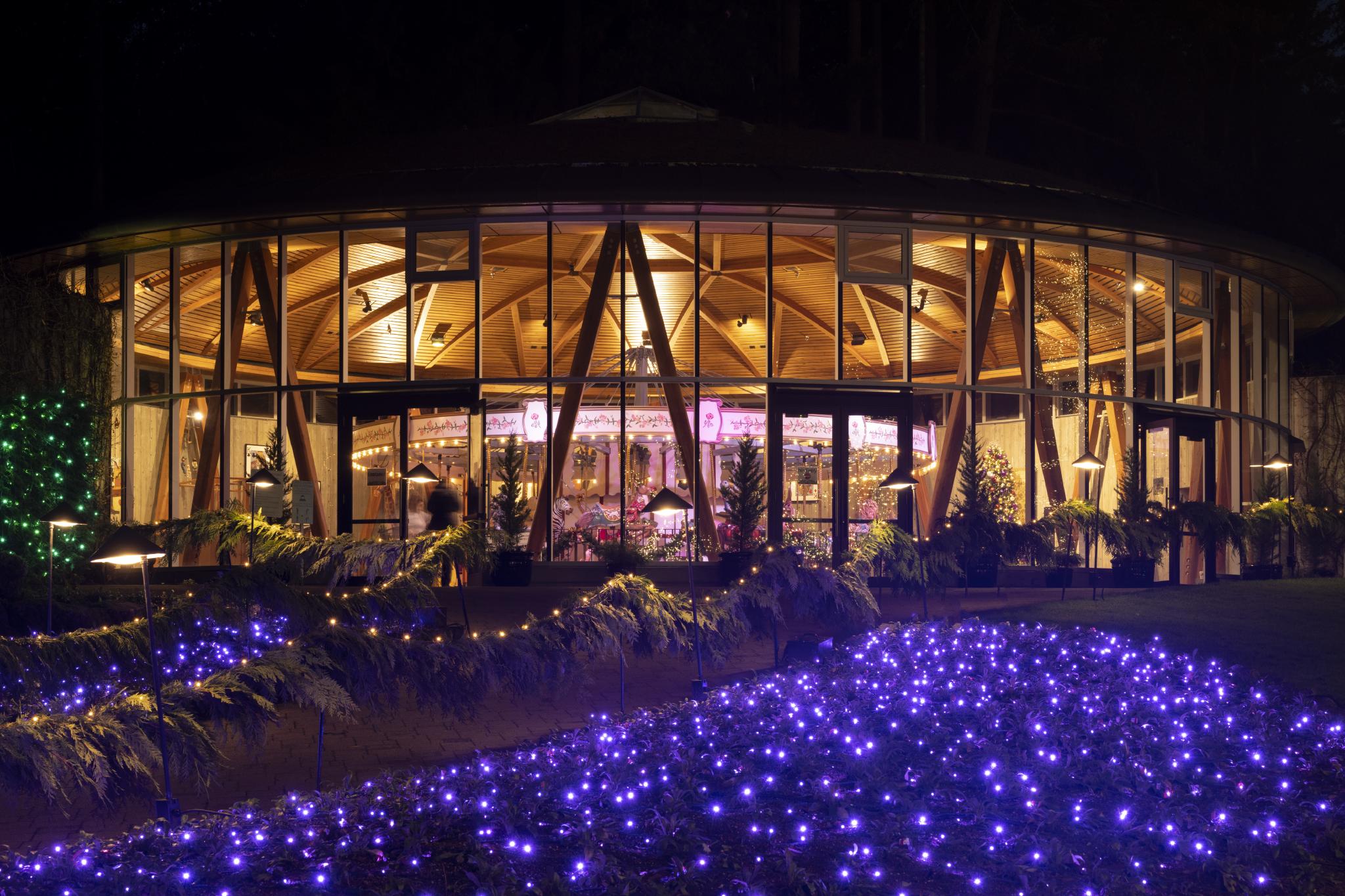 Des lumières de Noël violettes illuminent l'extérieur d'un grand bâtiment circulaire en verre avec un carrousel à l'intérieur.