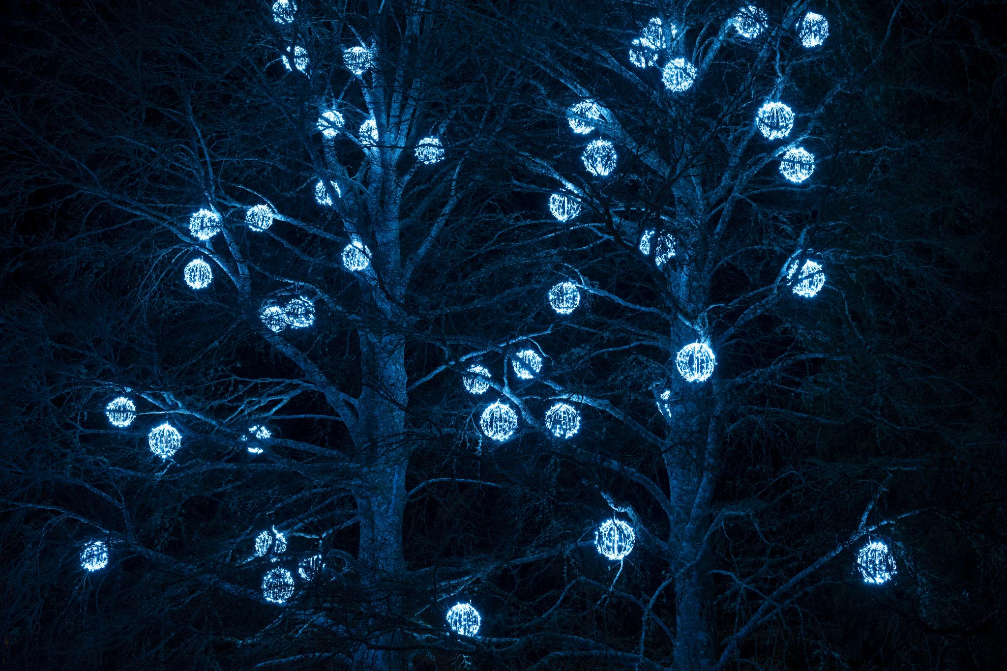 Informations sur les groupes et les voyagistes