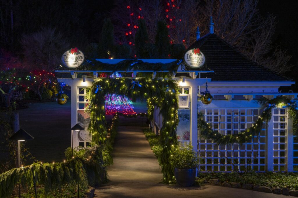 The pathway leading to the entrance of the Dining Room Restaurant with festive holiday lights.