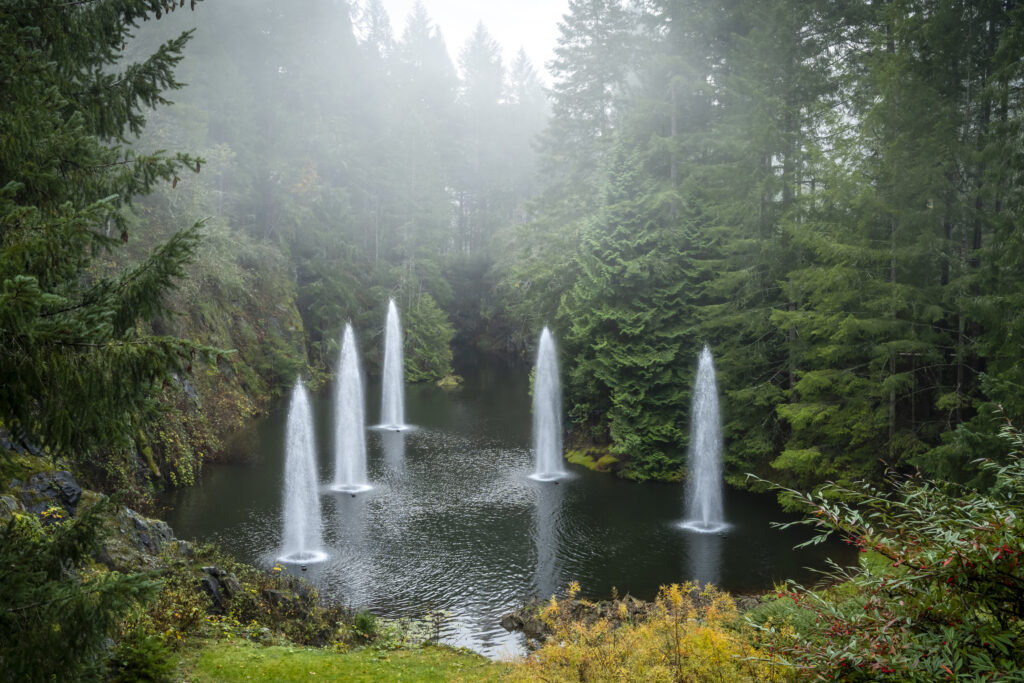 Five single jet streams of water coming from a pond at the bottom of a rocky landscape surrounded by trees on a foggy day.