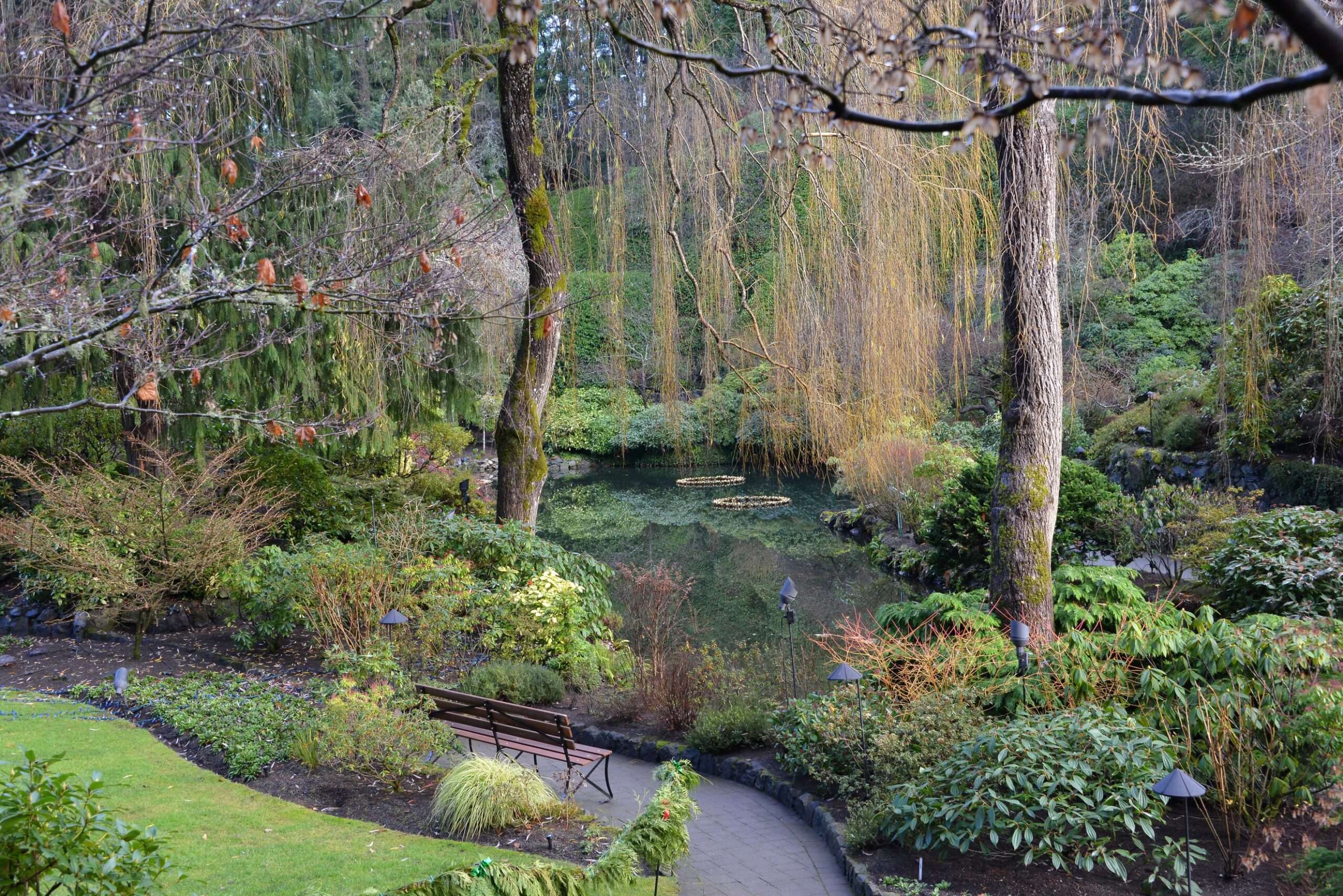 A bench sits beside a small pond with trees framing the view. Two gold rings are floating in the pond.