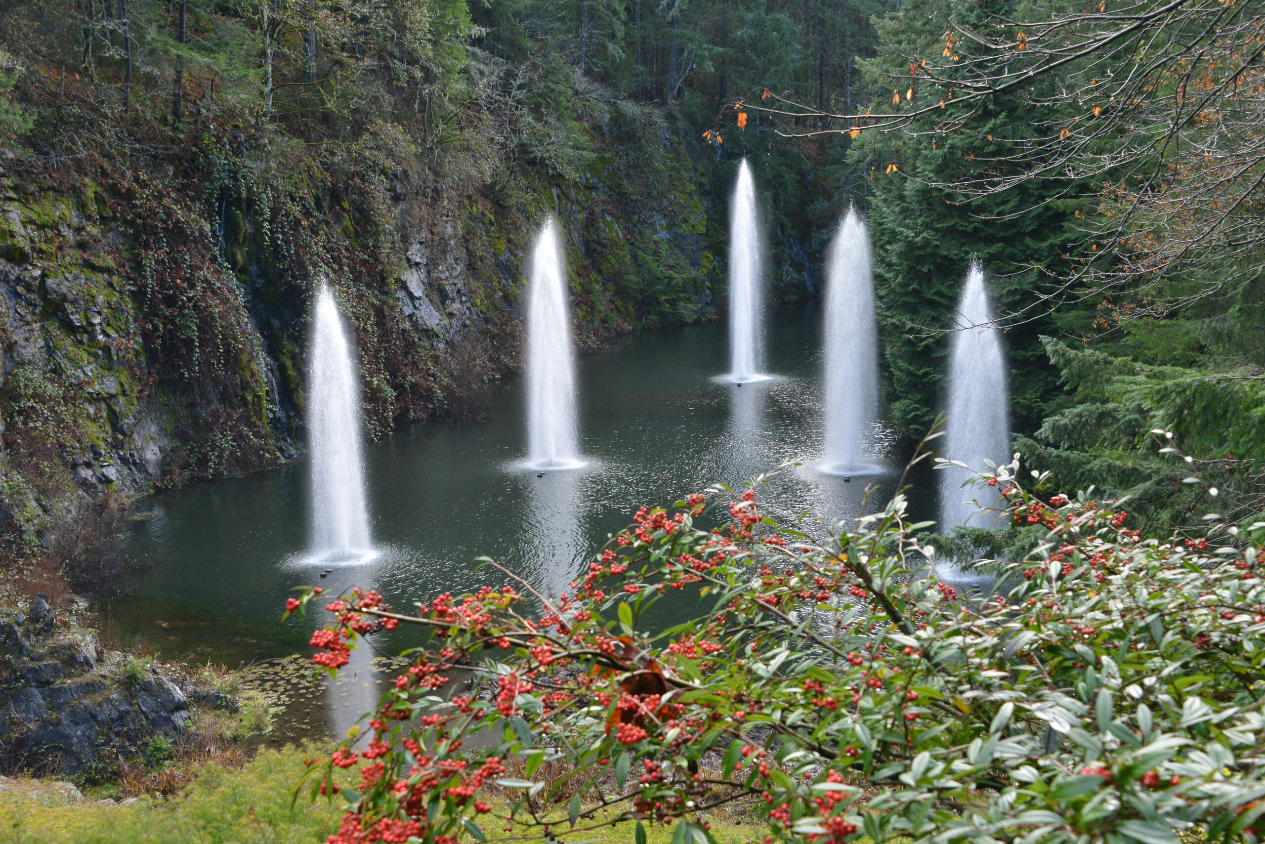 Winter Garden Insights 2025 - The Butchart Gardens