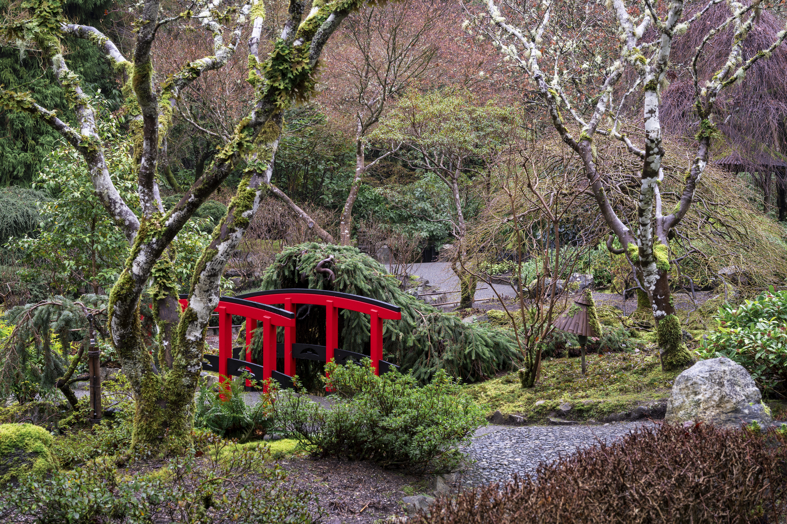 Red and black bridge sitting in the middle of a Japanese Garden landscape.