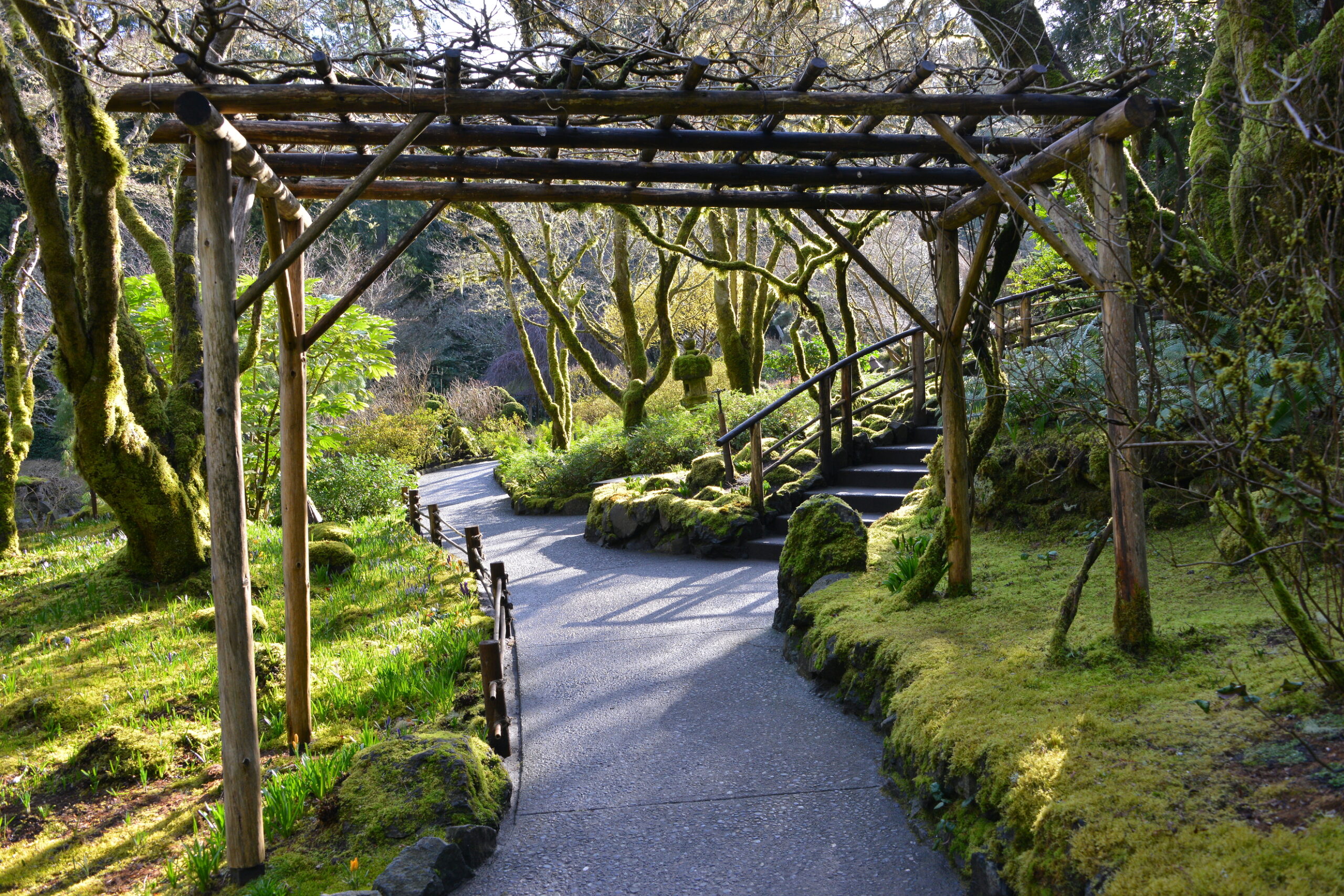 Wooden pergola sits at the bottom on a winding out door staircase. Cement path ways lined with moss and bare trees during the winter.