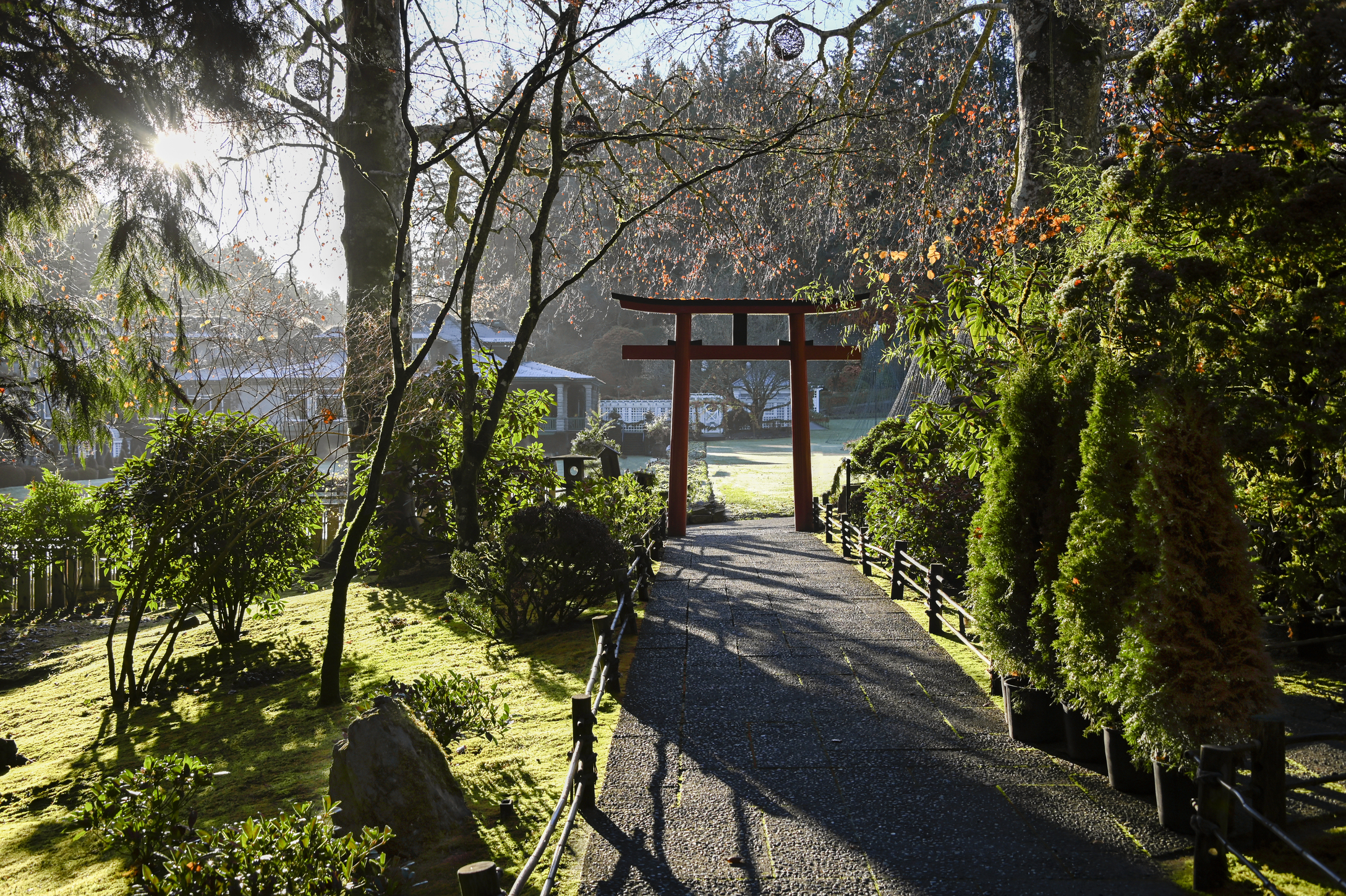 Stone pathway leads to a red Torii gate with trees planted on either side. The sun is shinning from behind casting shadows on the ground.