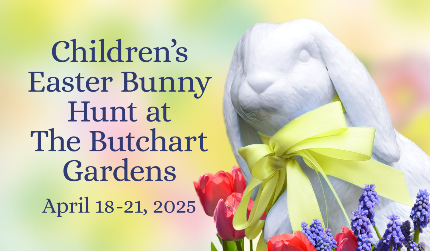 Children’s Easter Bunny Hunt