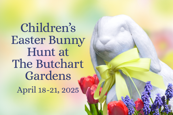 Children’s Easter Bunny Hunt