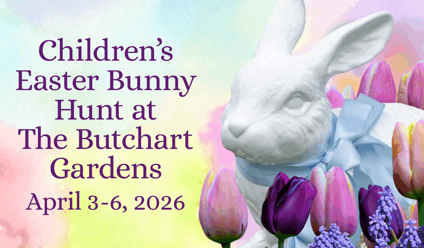 Children’s Easter Bunny Hunt