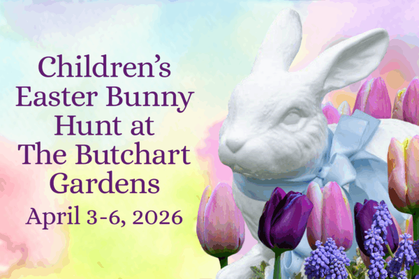 Children’s Easter Bunny Hunt
