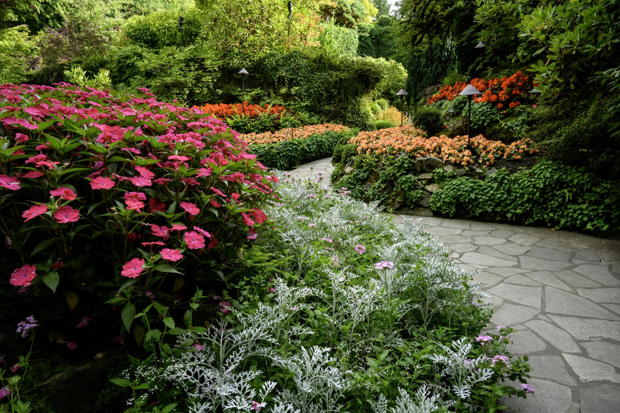 GARDEN ビューティフル Beautiful 218+ Thousand Beautiful Garden World Royalty-Free Images