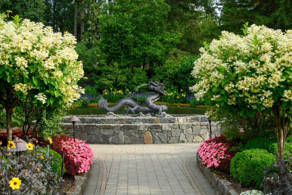 A stone pathway leads through a garden flanked by large, flowering shrubs that appear to be Hydrangea paniculata, featuring creamy white blooms. In the centre, a bronze dragon sculpture is positioned in front of a stone wall, surrounded by colourful flower beds with pink and yellow blooms. Lush green trees and plants provide a vibrant backdrop