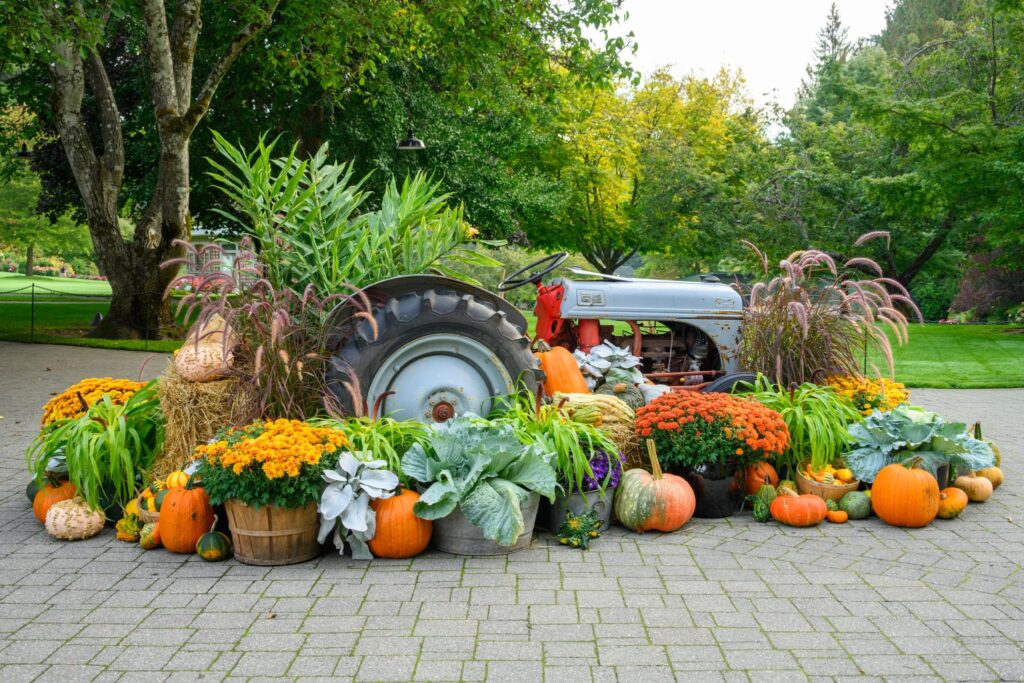 A vintage gray tractor is partially visible, surrounded by a vibrant display of pumpkins in various sizes and colors, including orange and white. The arrangement includes potted marigolds (Tagetes spp.), ornamental grasses, and leafy greens. The setting features a landscaped area with trees and greenery in the background
