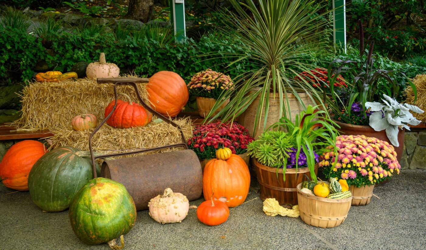 Autumn Display