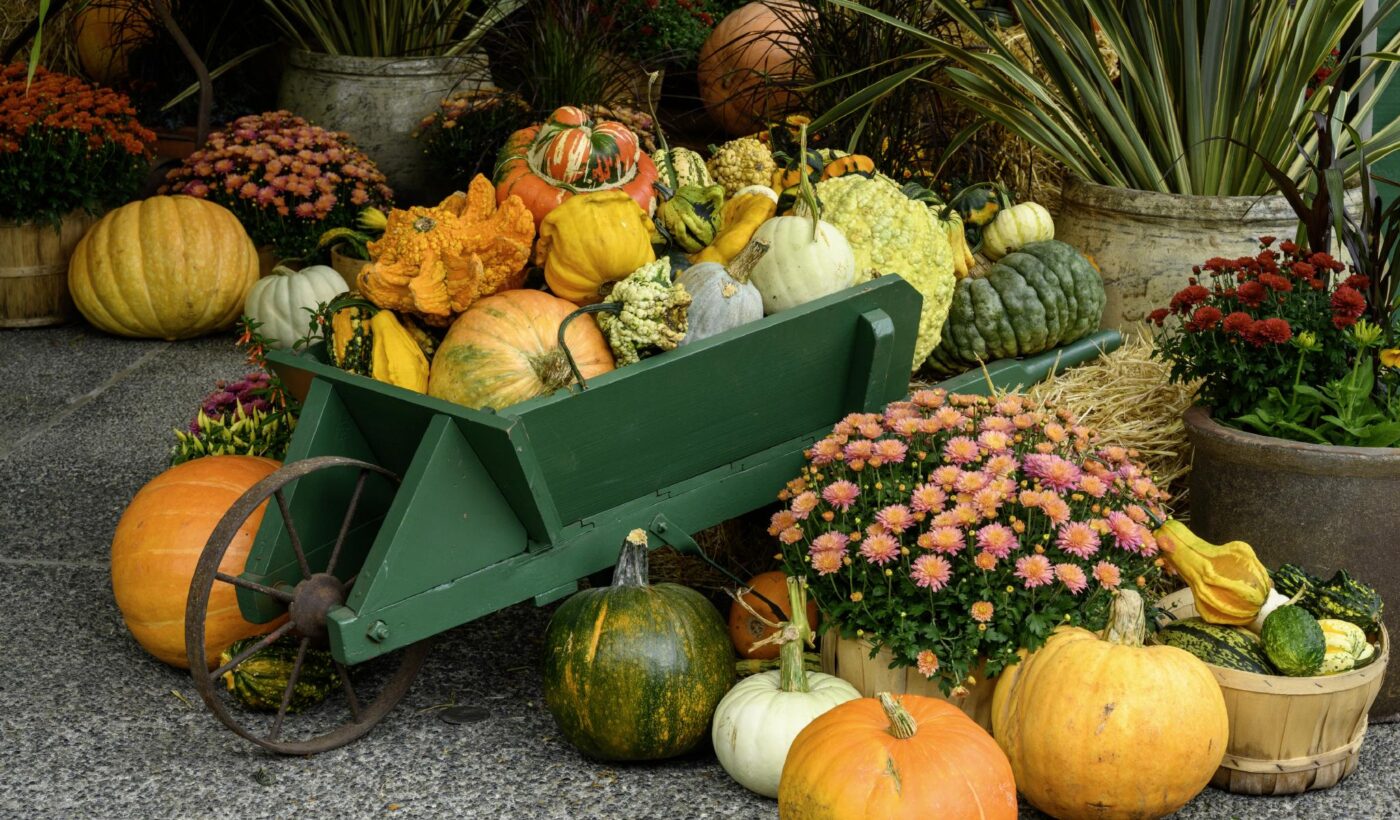 Autumn Display