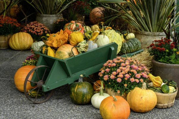 Exposition d’automne