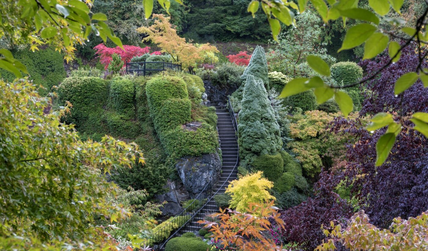 Autumn Garden Insights 2025