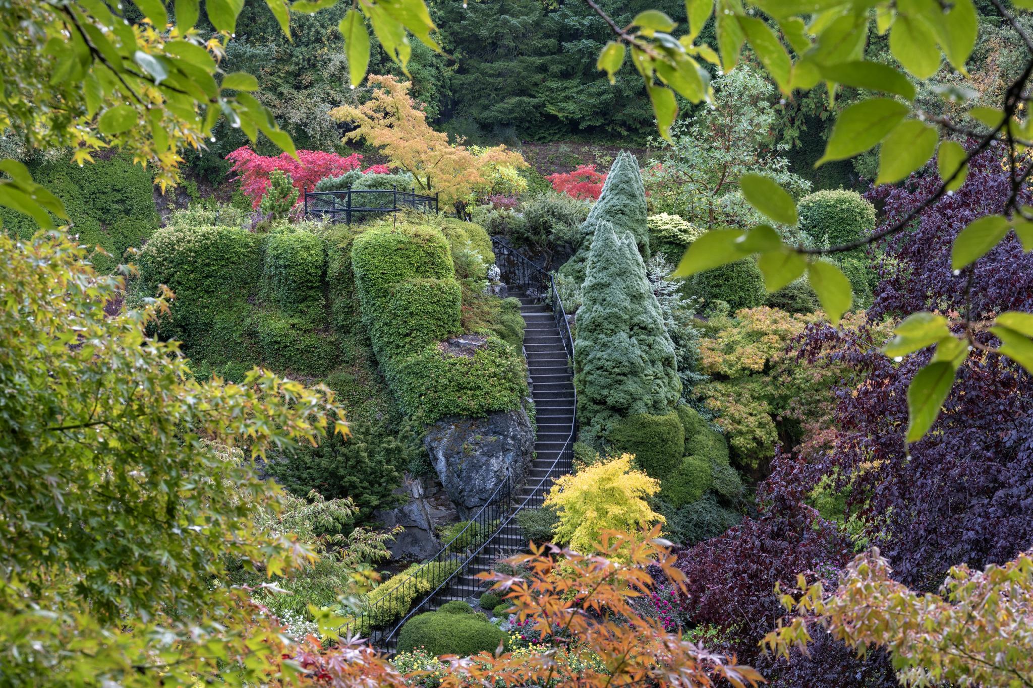 GARDEN ビューティフル Beautiful 🌿Garden × Fog ＝ Secret garden🌿 ⁡ 濃霧に包まれたガーデンは
