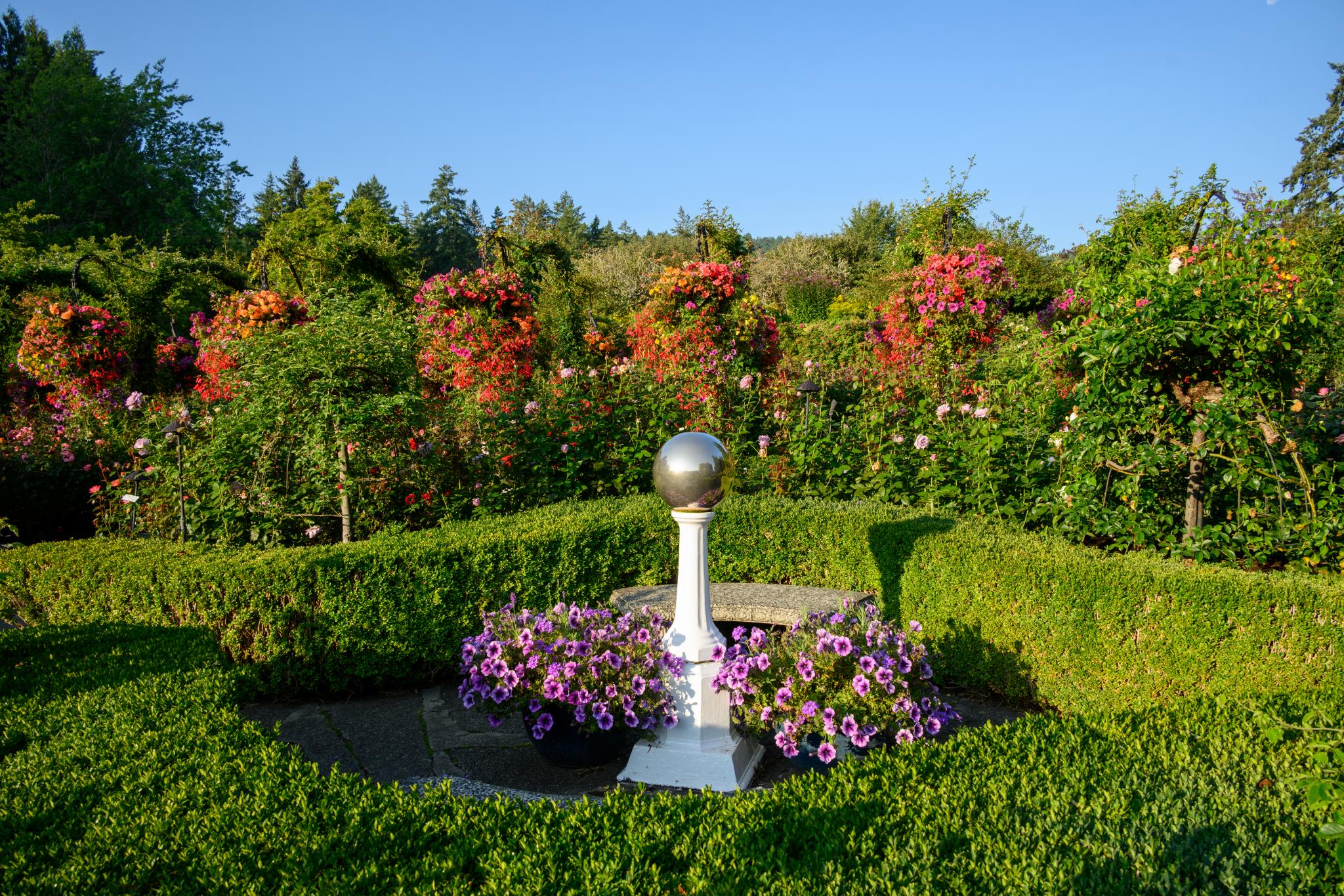 A gazing balls sits on top of a pedestal with two pots of purple pansy on either side.