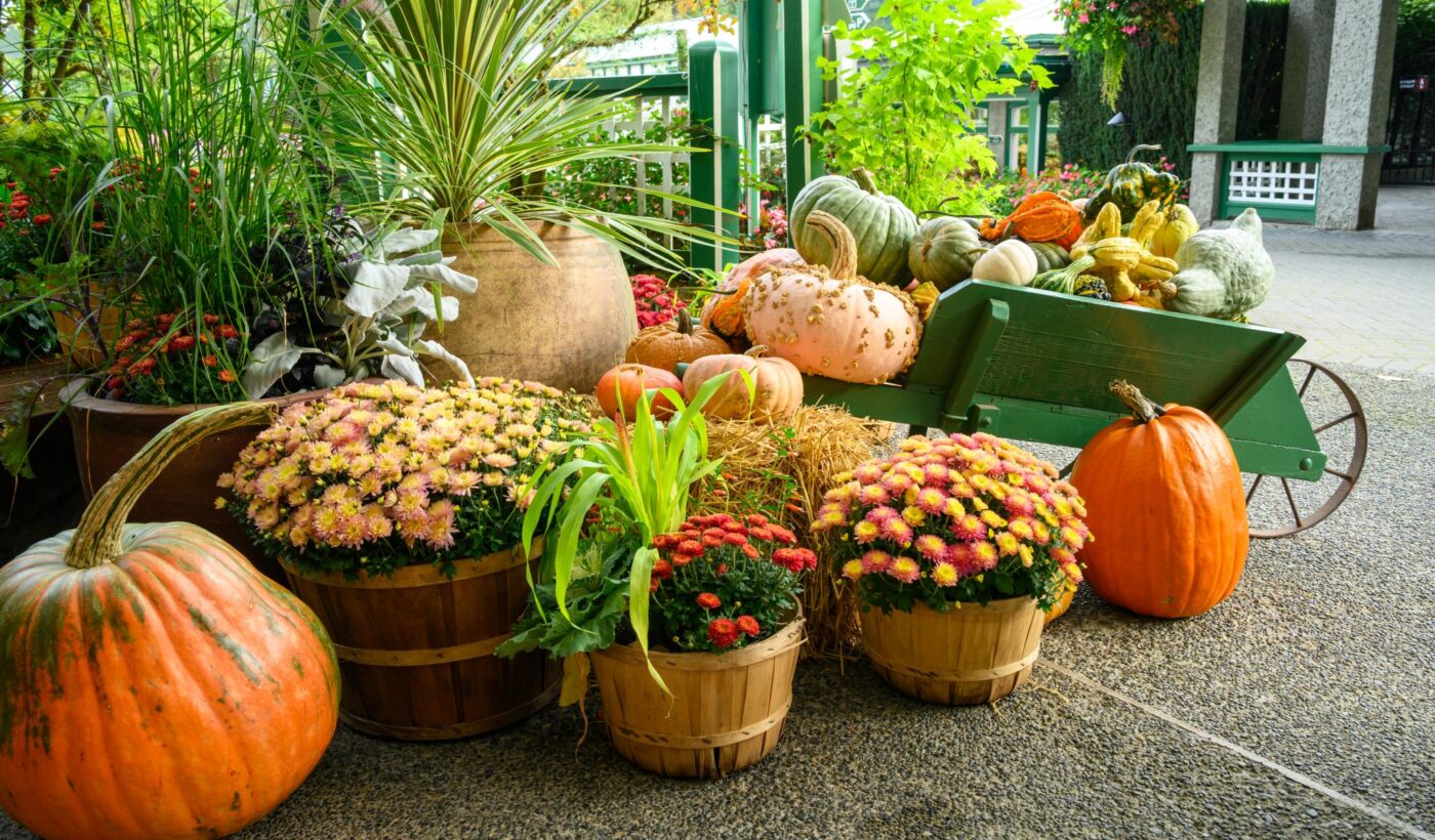 Photos in Season