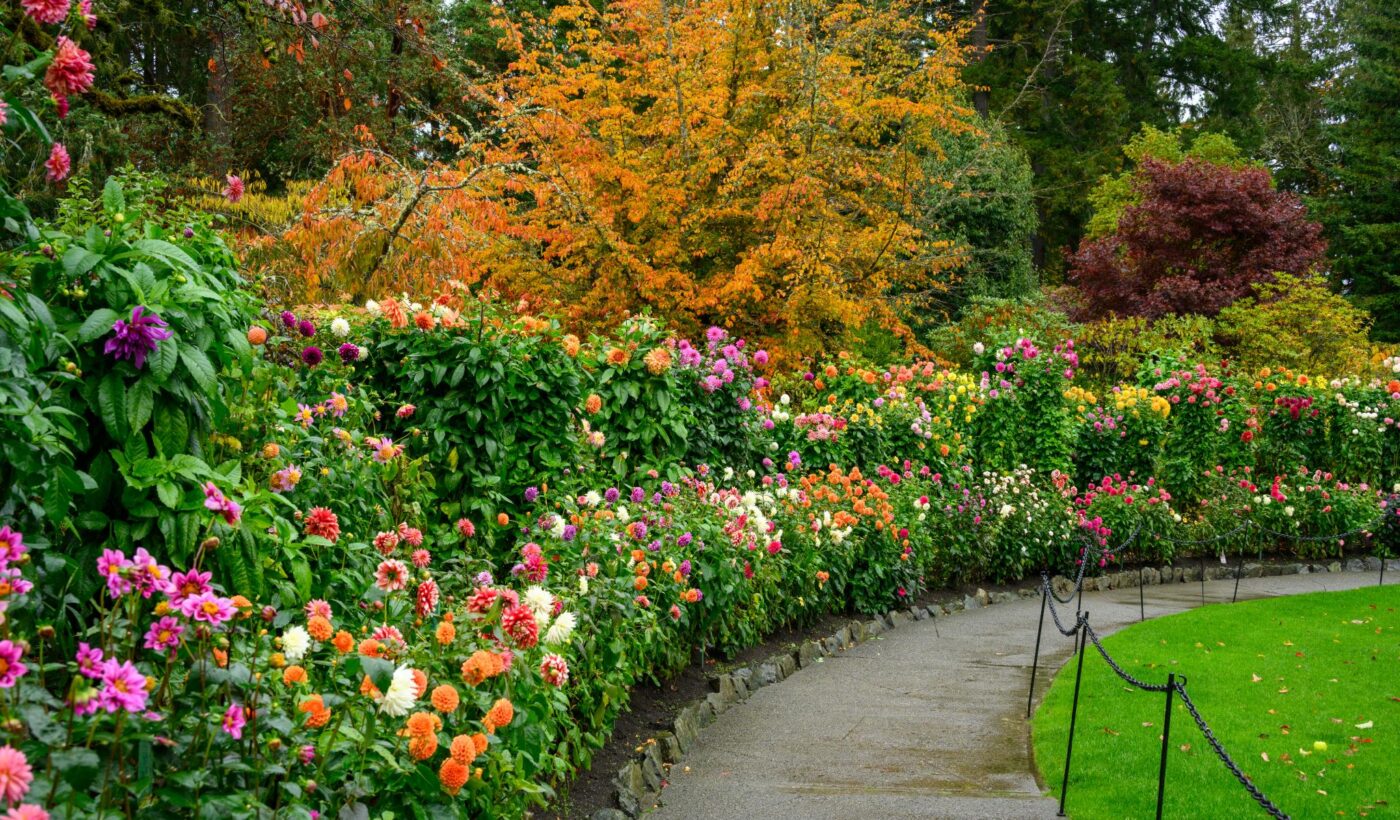 Novembre 2025 Rapport sur les jardins