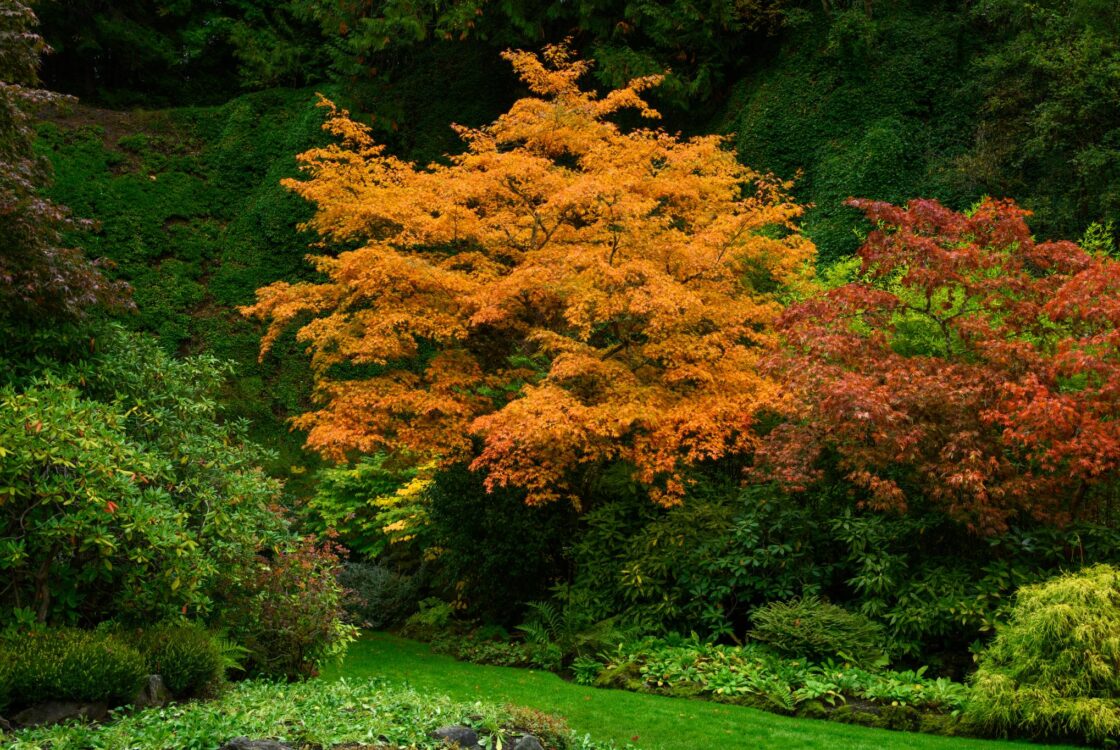 Go to Photos in Season