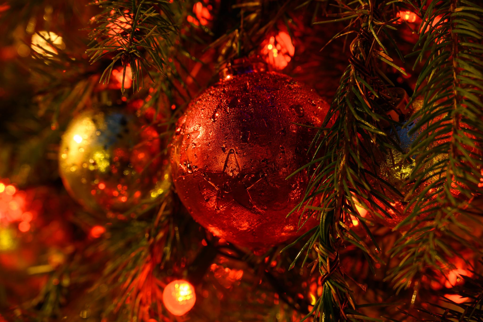 Frequently Asked Questions