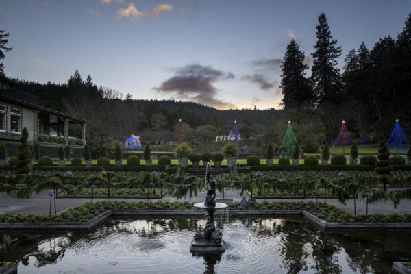 Décembre 2025 Rapport sur les jardins