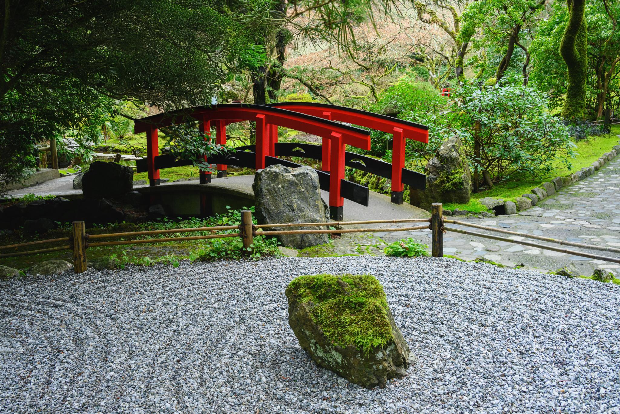 Cherry Blossoms » Meijer Gardens | Frederik Meijer Gardens \u0026 Sculpture Park, image size:2048x1366