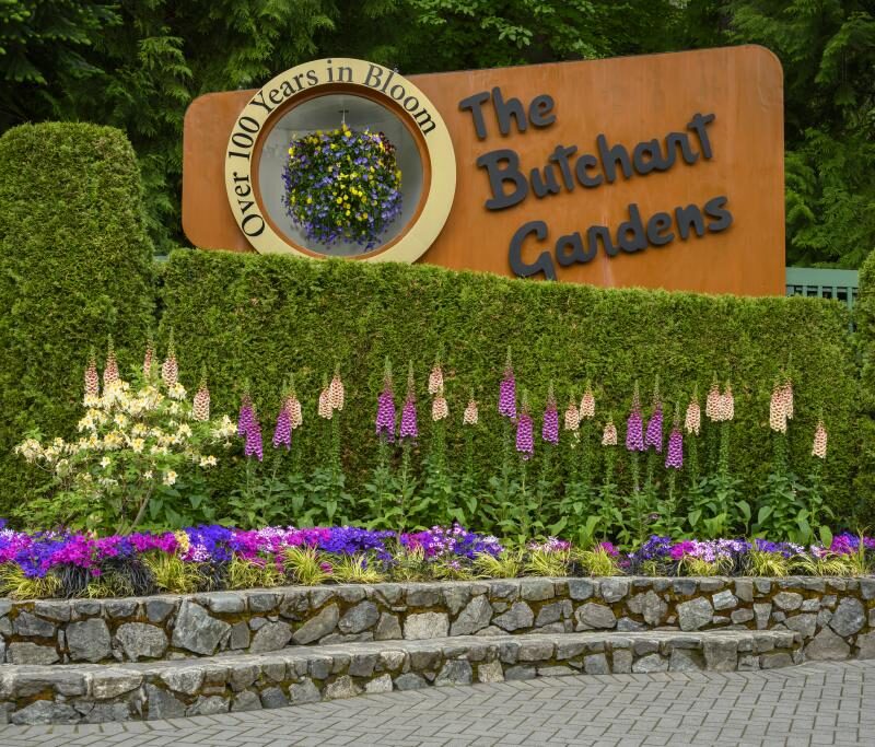 A Garden for all Seasons 